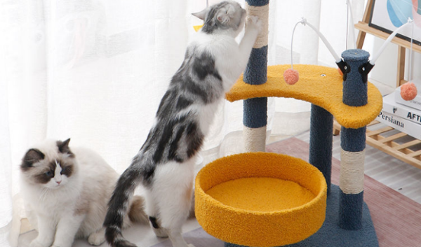 The choice of cat crawling frame is not simple! There are so many advantages behind the seemingly simple metal cat crawler